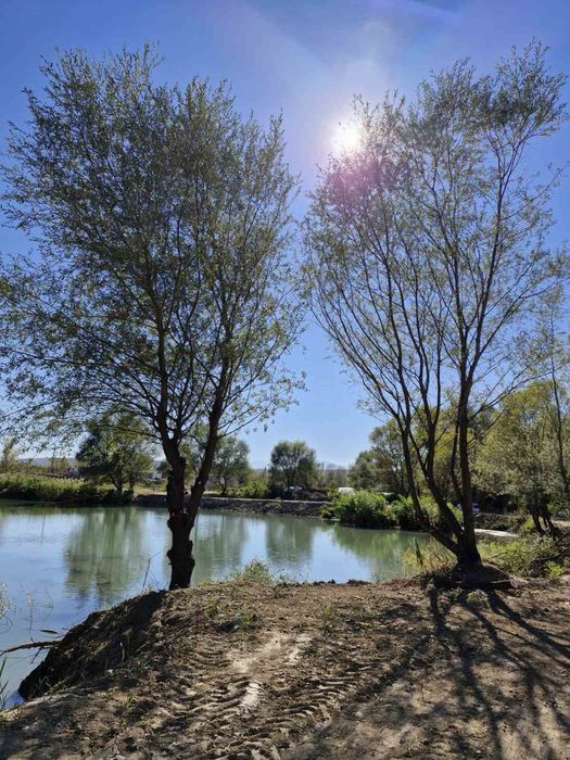 Рибарник/Водоем зарибен Промоция до Нова Година