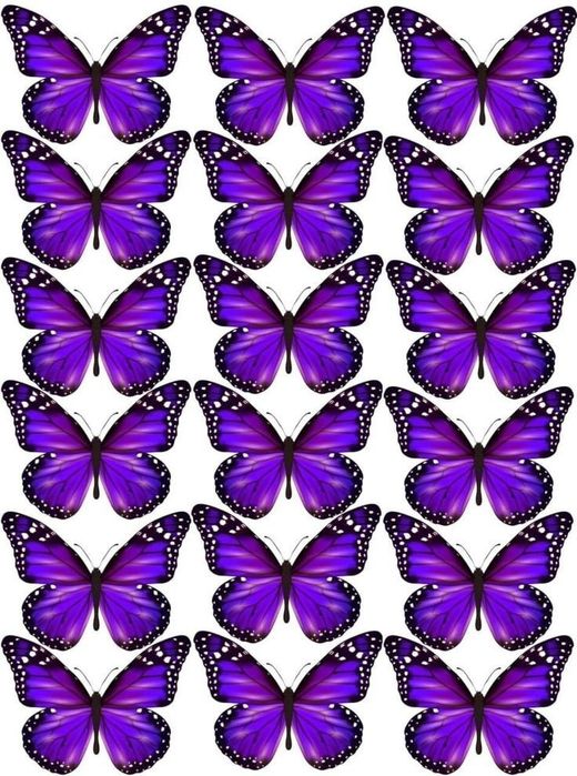 Kapalak buket listlari