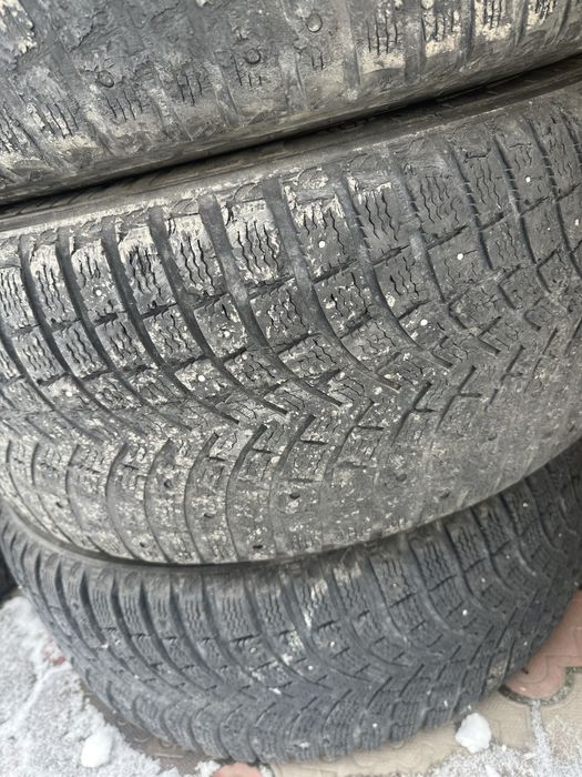 Комплект шипованных шин