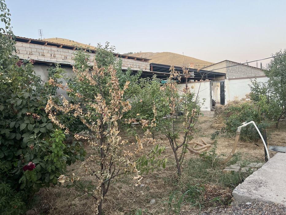 Gazalkent hovli namunali uylar