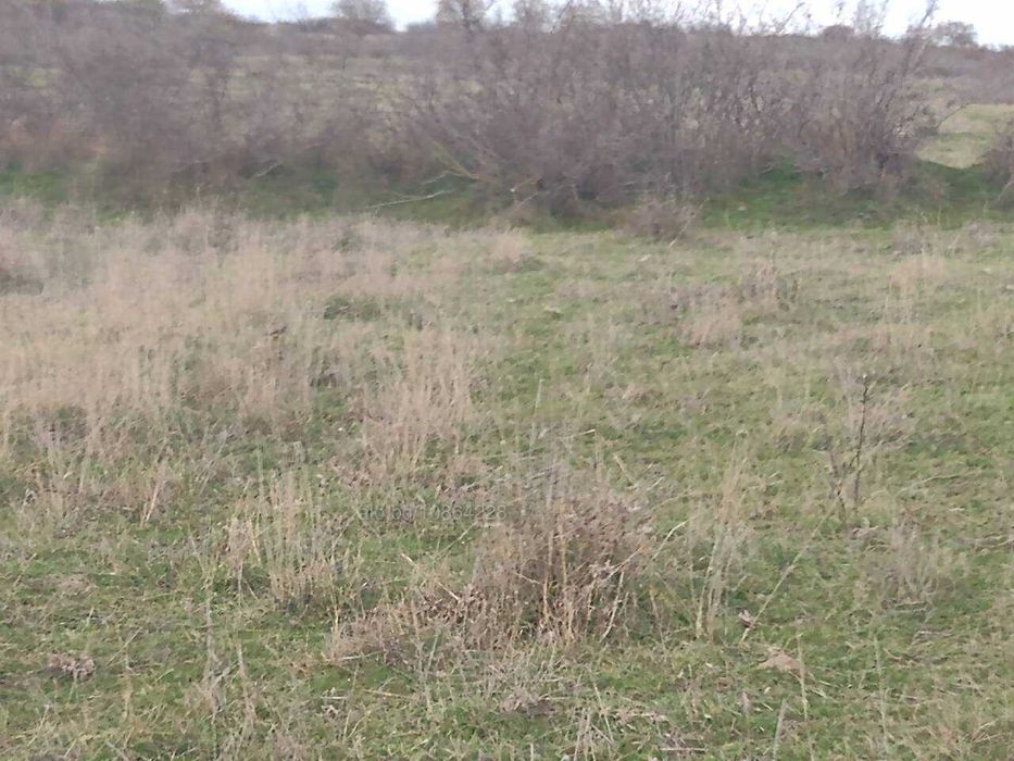 Продава се Парцел в Каблешково - 3600 кв.м за 4 €/кв.м - Снимка #13