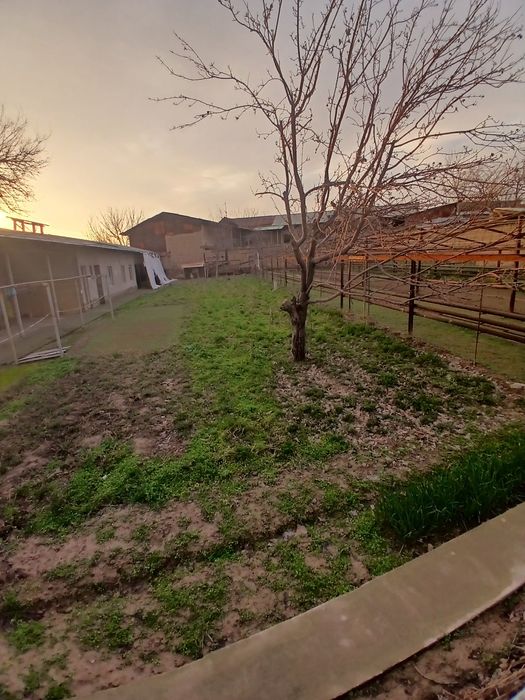 Yer sotiladi 5 sotix