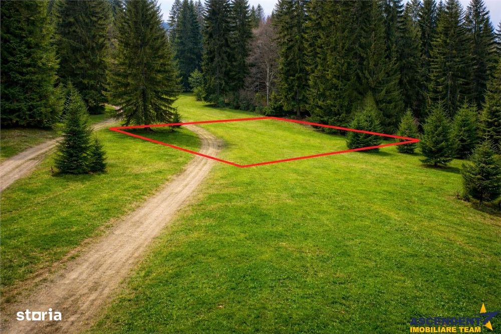 FILM! 1.000 mp,PUZ,regim P+2+M,destinatii turisticerezidentiale.