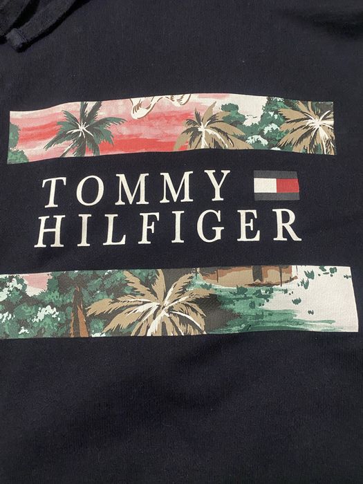 Tommy hilfiger горнище