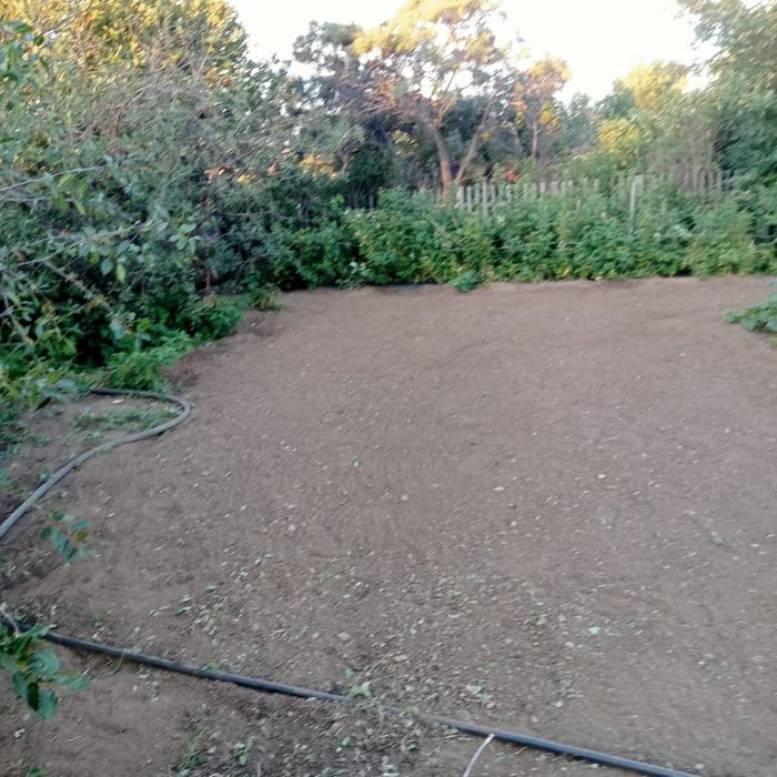 Продам дачу на союзе