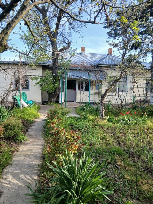 Vand casa in Turnu Magurele