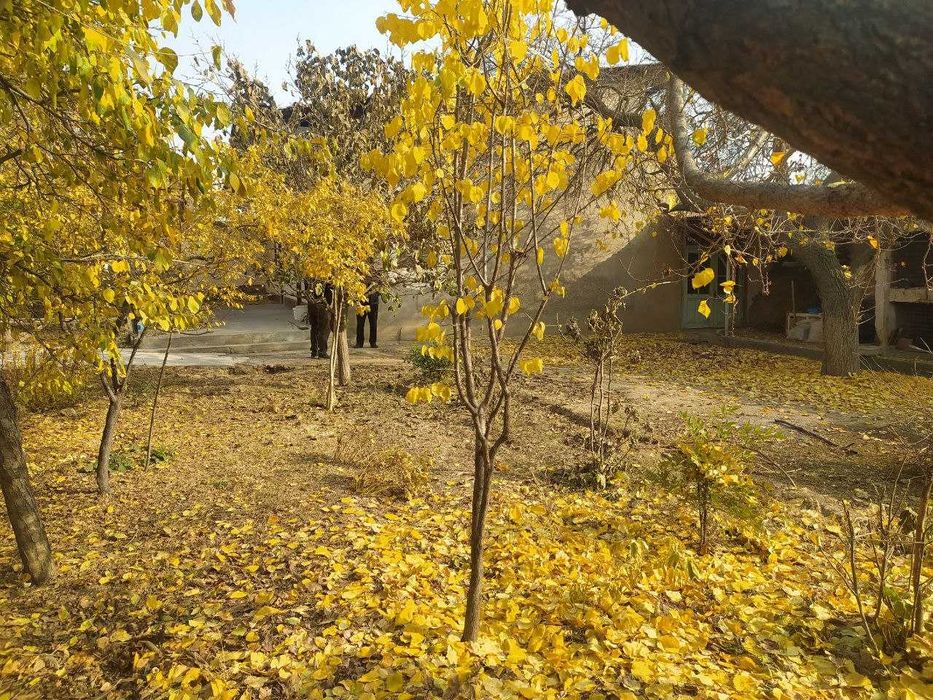 Уй сотувда 4 ХОНА 7 сотик  Арзон нархда Кибрай рн ШАРК МФЙ