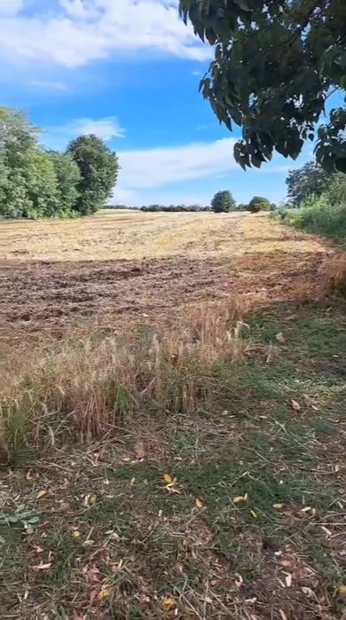 Vand Teren Intravilan 1.700 mp Grecii de Jos  – Acte Complete, Vânzare