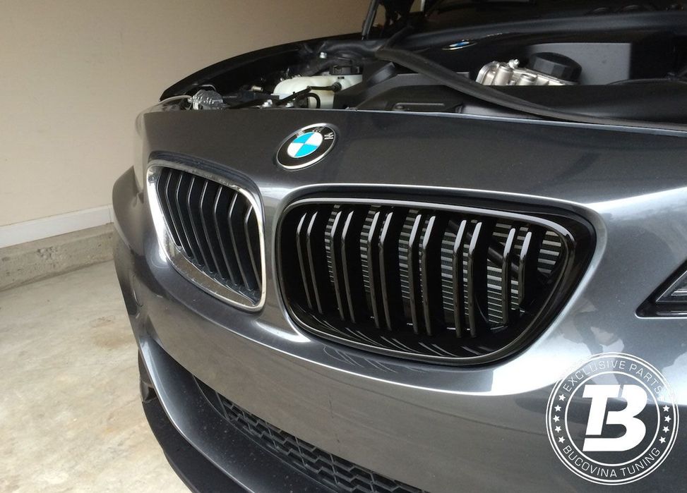 Grile Duble compatibile cu BMW Seria 1 F20 F21 M Design