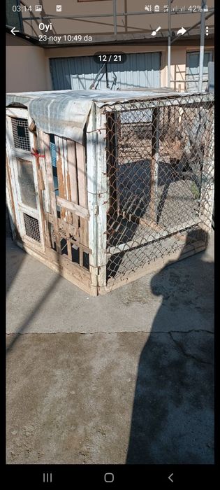 Tovuq boqish uchun katak