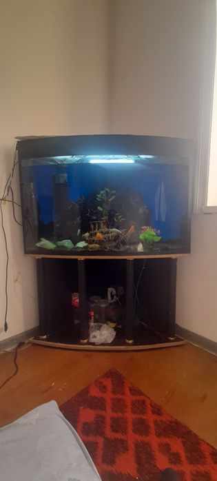 Продам аквариум комплект