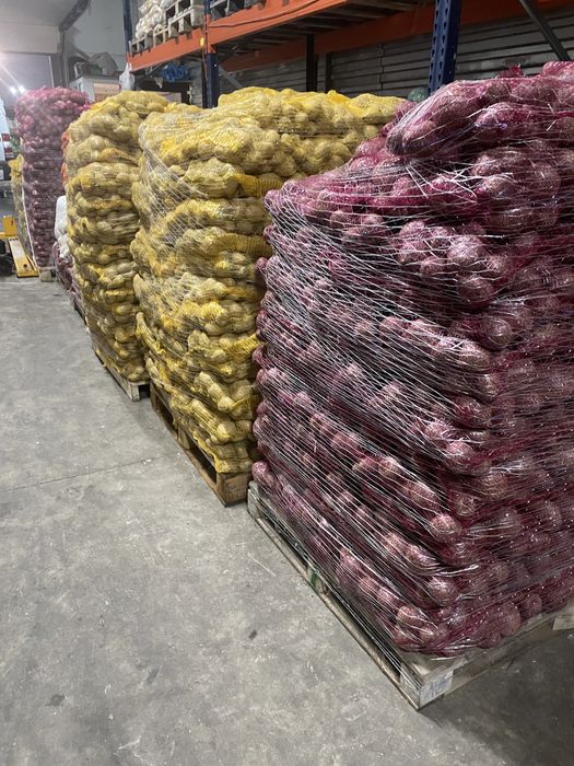 Cartofi rosu si alb la pret foarte convenabil