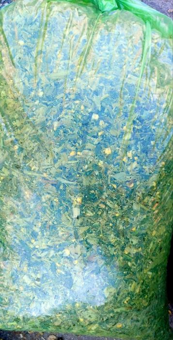 SILOS Donli   Донли  Силос 100%  (makka payani yaguarda ma