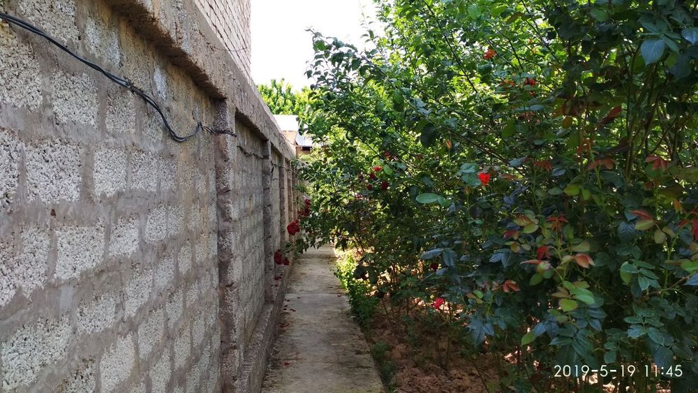 Ер сотилади ( 8 сотих)