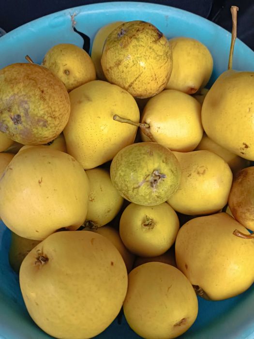 Продам дачу на правом берегу