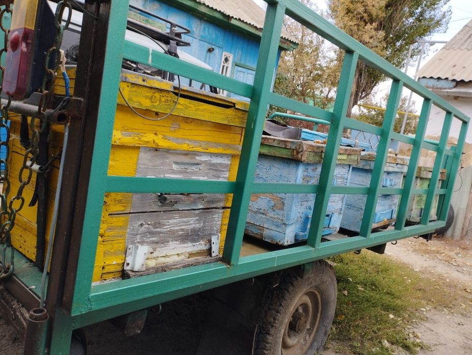 Продам пчел, прицеп