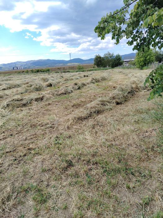 Teren și saivan animale 2ha