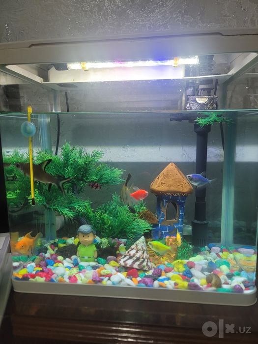 Akuvarium full 30-35 L