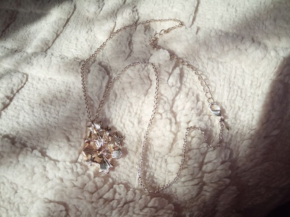 Серебряная цепочка с кулоном