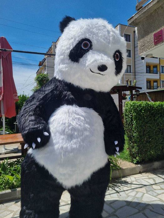 Бяло мече изненада Несебър