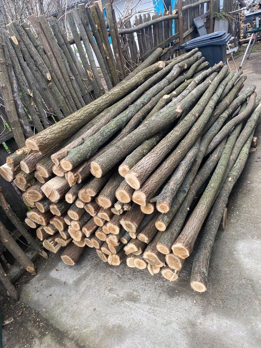 Pari salcåm, 2,5 m lungime