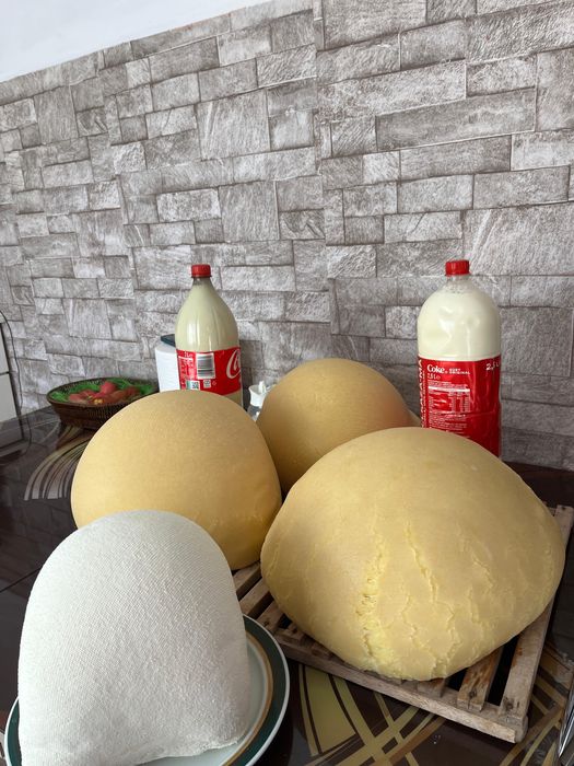 Vand branza , urda …