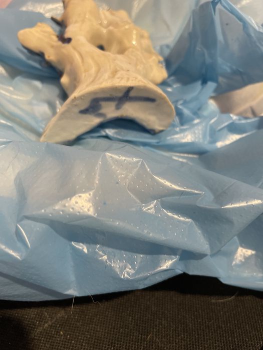 Chip din portelan 100 lei