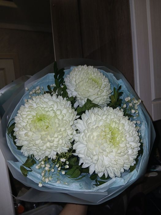 Новые хринтаземы