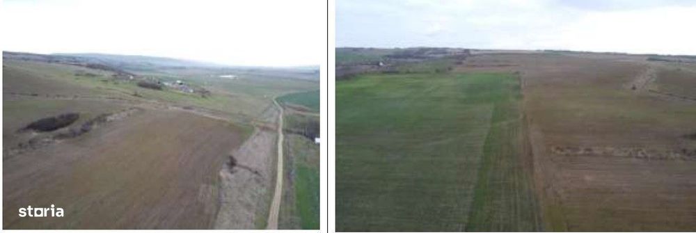 Teren Albesti, Vaslui, ID: R2893960