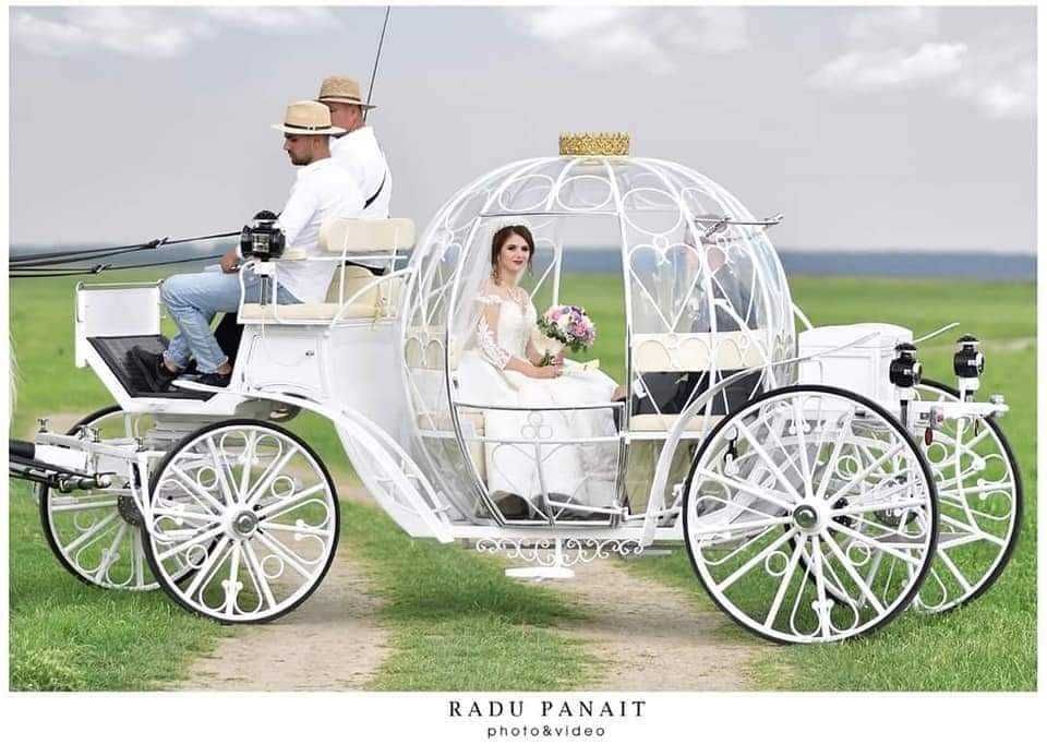 Trasura Nunta Mireasa Cai Foto Video