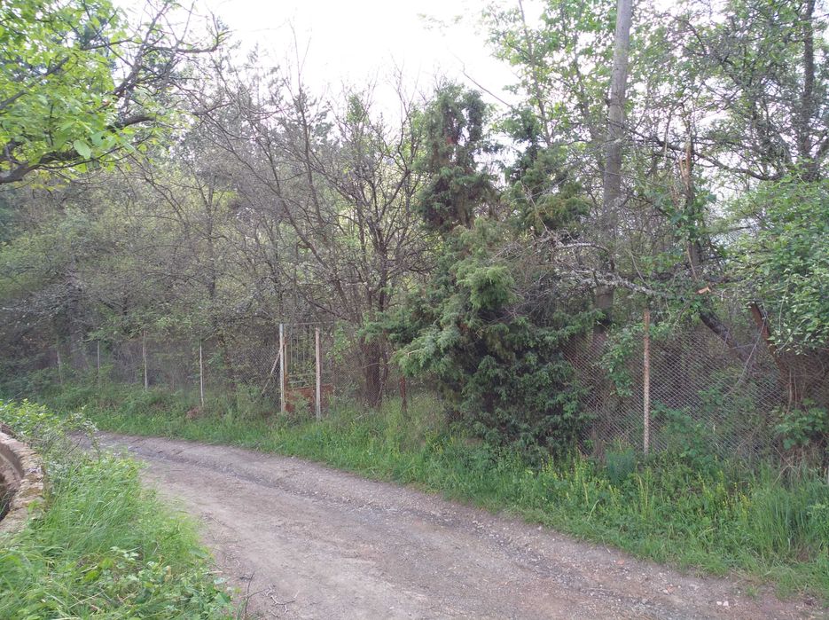 Продава се Парцел в с. Луково, Област София-област - 850 кв.м за 24 €/кв.м - Снимка #6