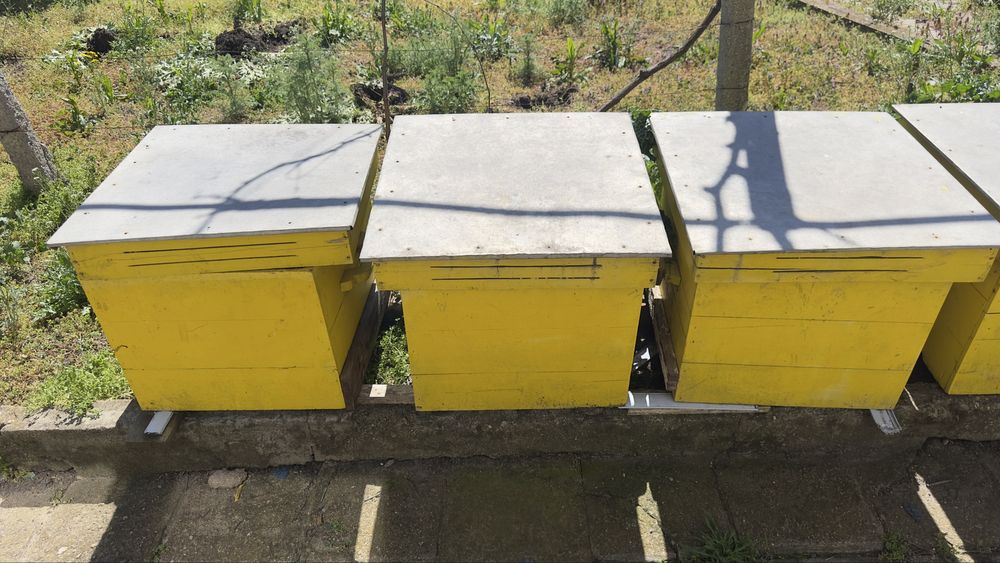 Кошери за пчели празни 6 бр.