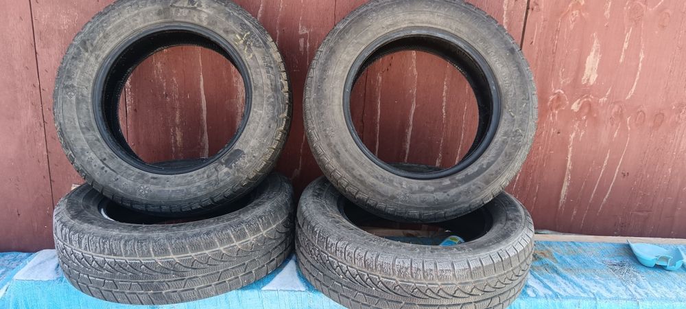 Anvelope iarnă Petlas