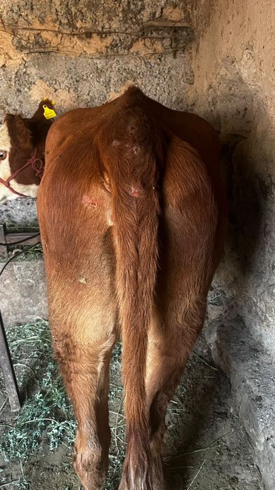 Продается срочно