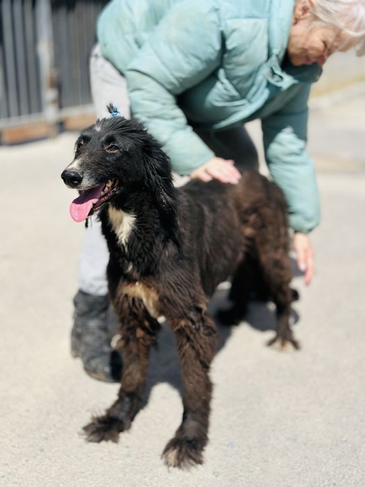 Тазы девочка. Ищет семью