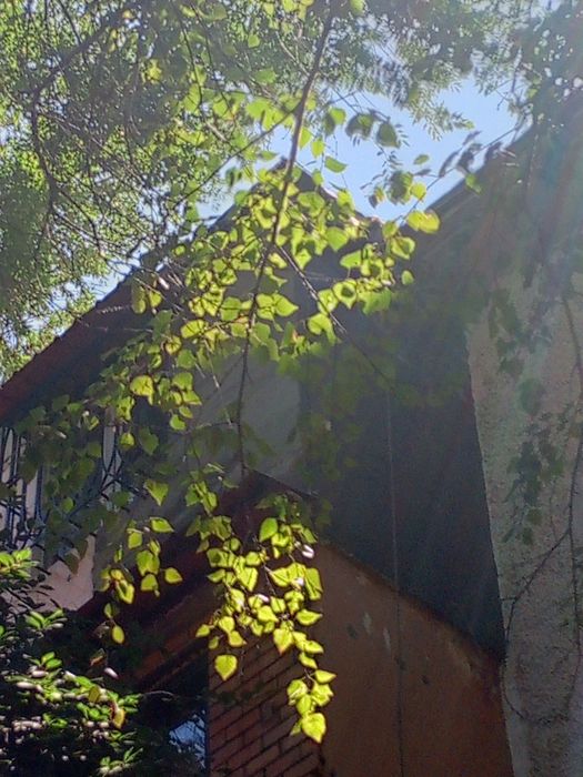 Альпенисты утепляем болконы