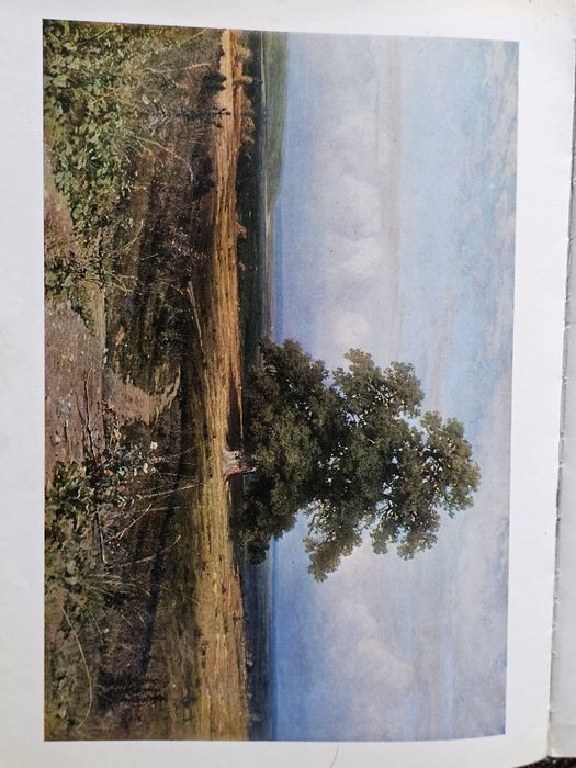 Шишкин. Исскуство. Живопись