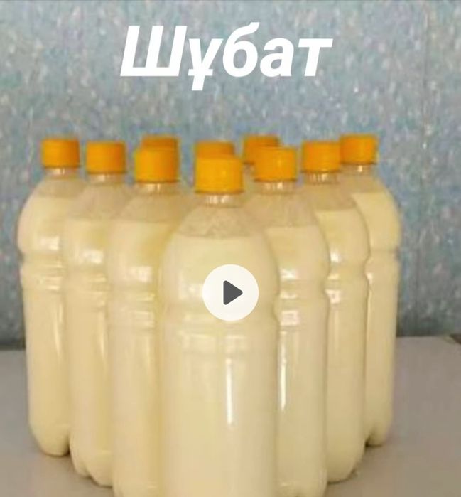 Продается свежее Кымыз. Шубат.
