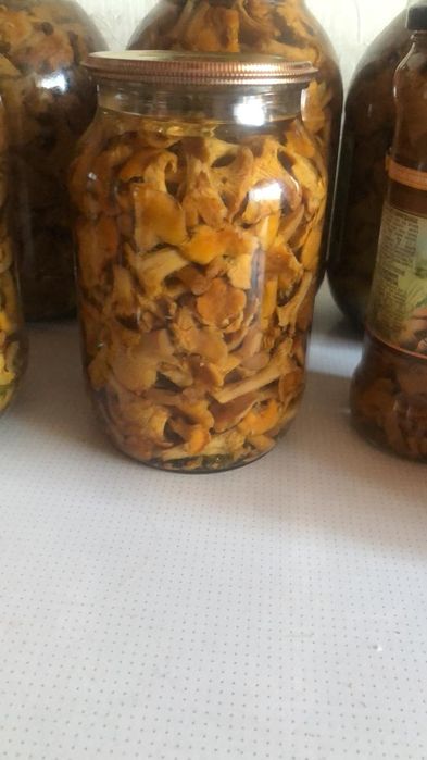 Продам лисички маринованные, сухие