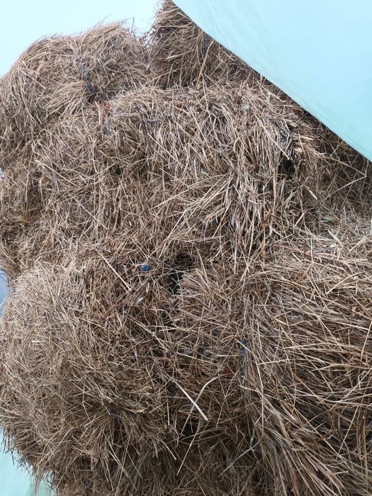 Vand baloti dreptunghiulari de fan