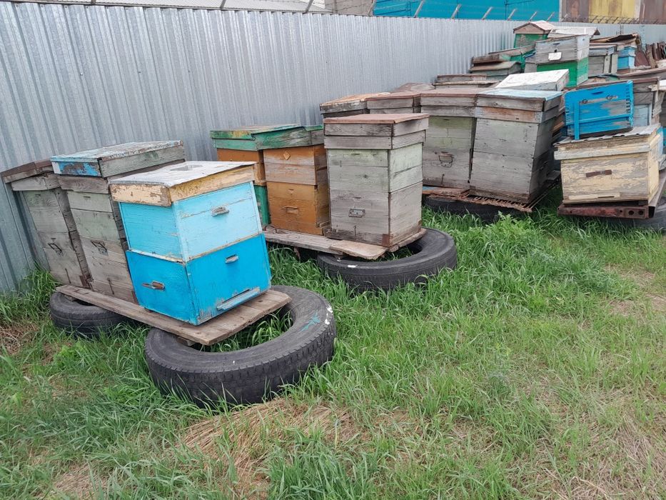 Продам улья для пчел