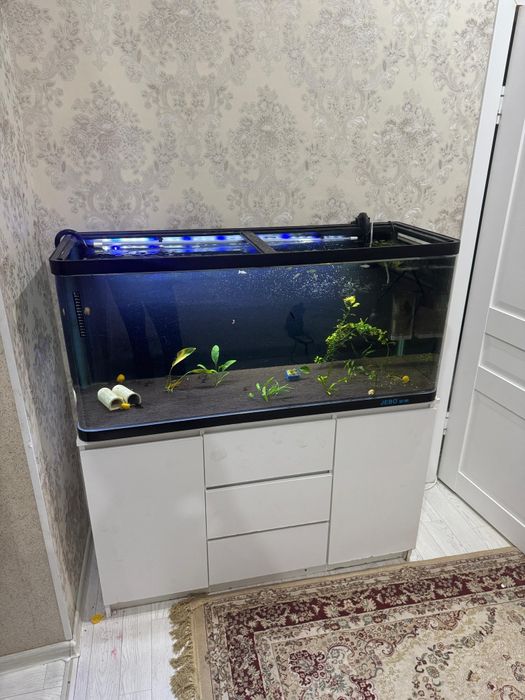 Аквариум 270 литр