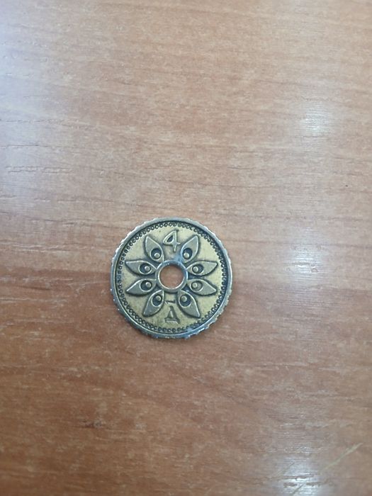 Tanga 21 xil kolleksiya gigayotganlar uchun