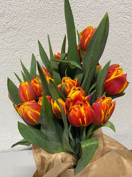 Тюльпаны на 8 марта