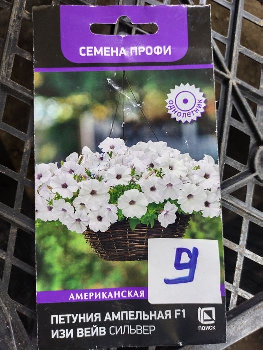 Продам рассаду ампельной петунии.