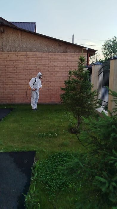 Обработка от вредителей и болезней