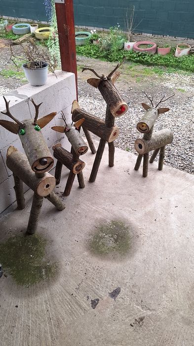 Casa si gradina superbe