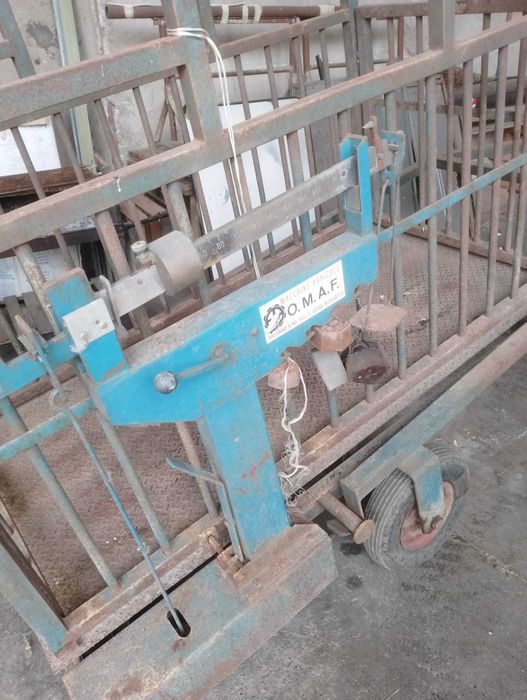 Cantar pentru animale