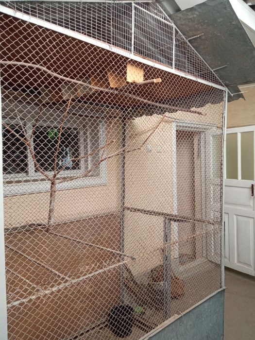 Валер тезда сотилади.