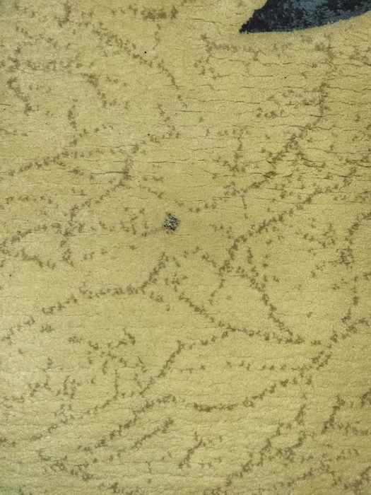 Covor de lana visiniu cu crem